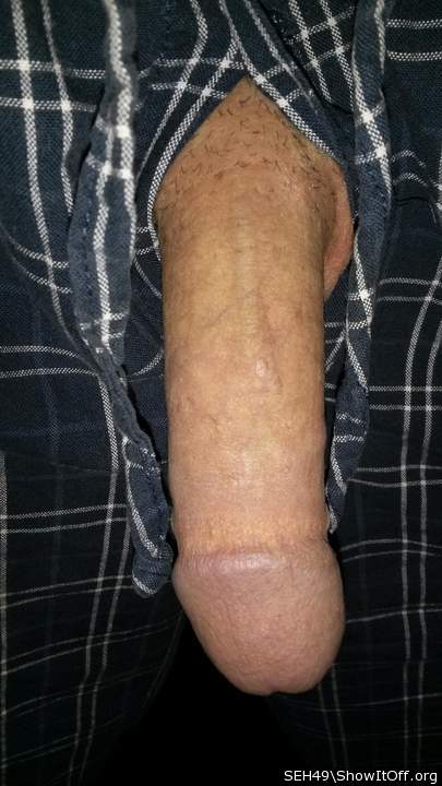 Adult image from SEH49