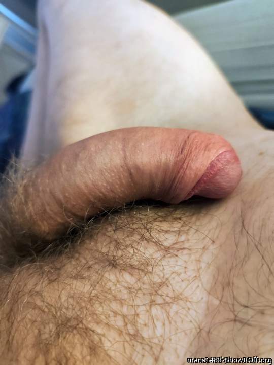 Adult image from mans1483