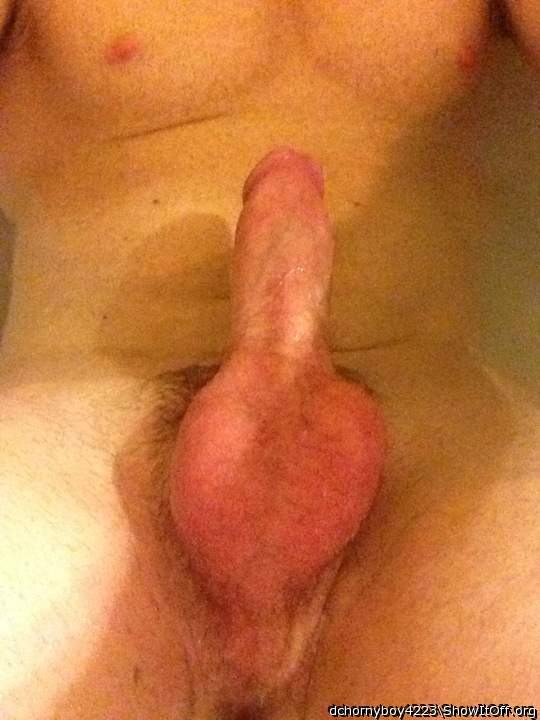 Adult image from dchornyboy4223