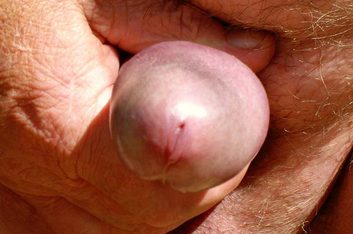 Adult image from cuddles1