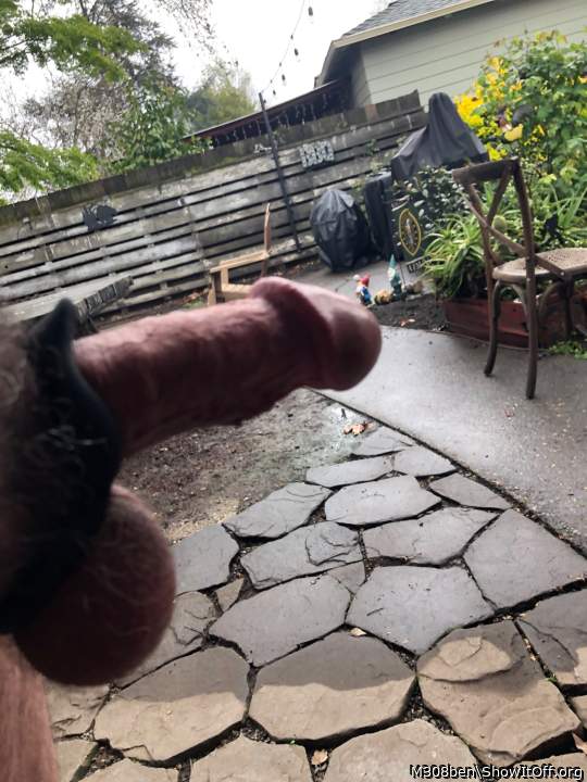 Adult image from M308ben