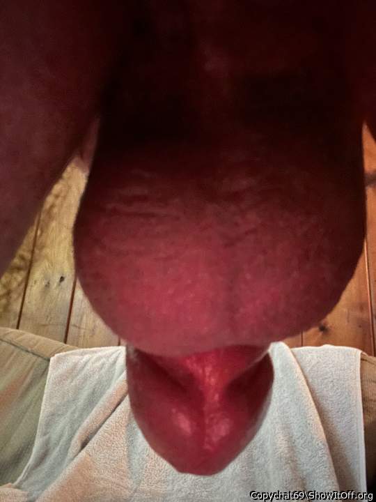 Adult image from Copychat69
