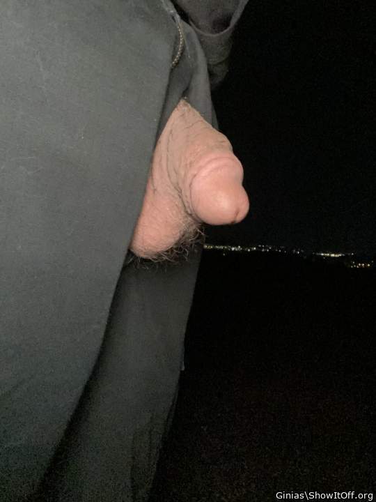 Adult image from Ginias