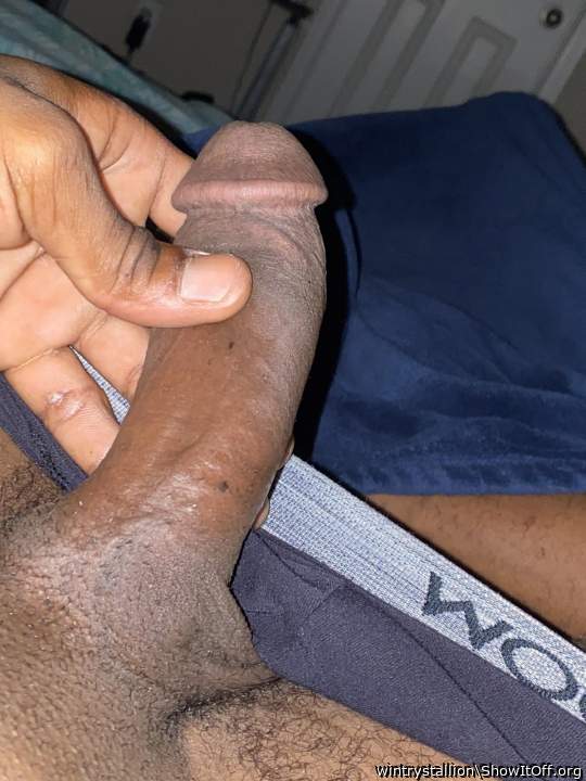 Adult image from wintrystallion