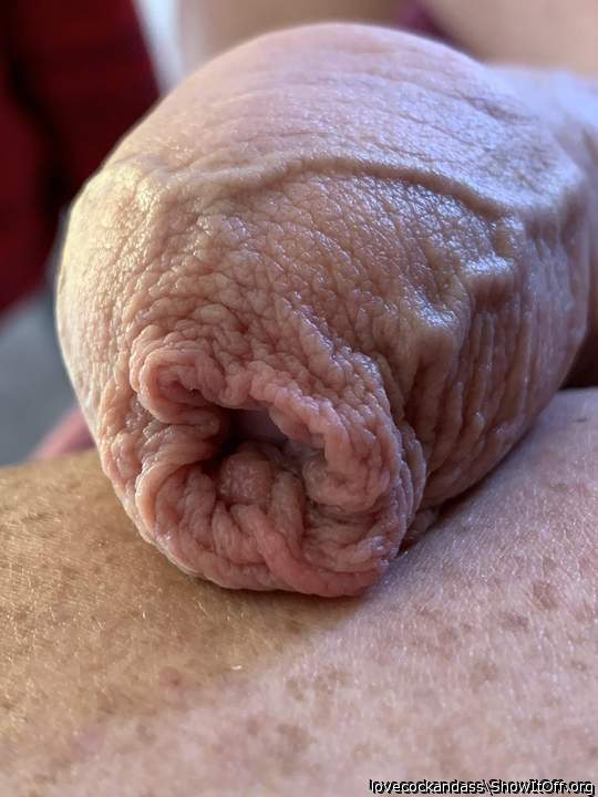 My cock needs a sexbuddy!