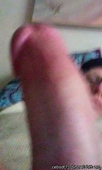 Adult image from cebsdt71