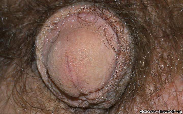 Great photo- nice Head! 