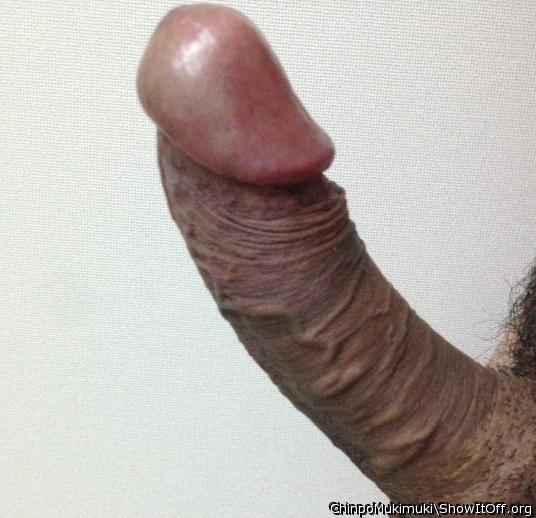 Adult image from ChinpoMukimuki