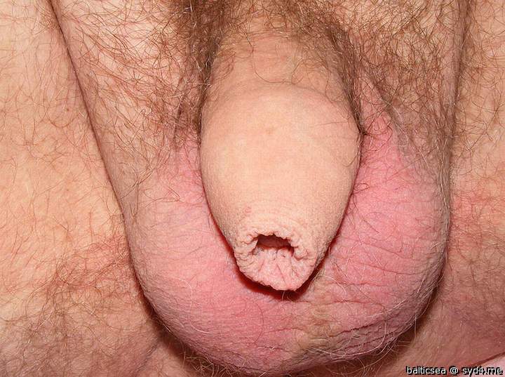 Adult image from balticsea