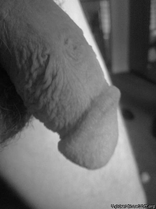 Adult image from Mylicker