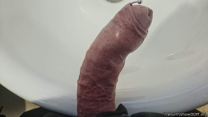 Adult image from Frenum