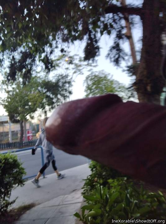 Adult image from IneXorable