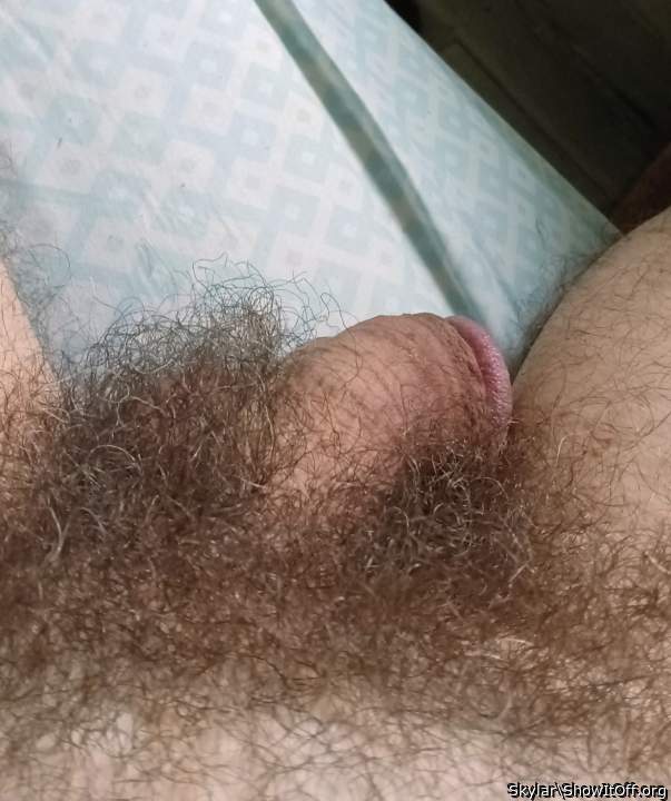 My 71 year old penis
