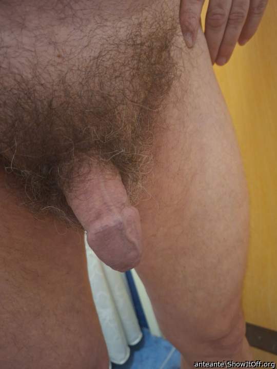 Adult image from anteante