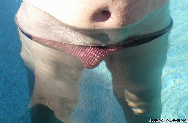 Adult image from Scuttle