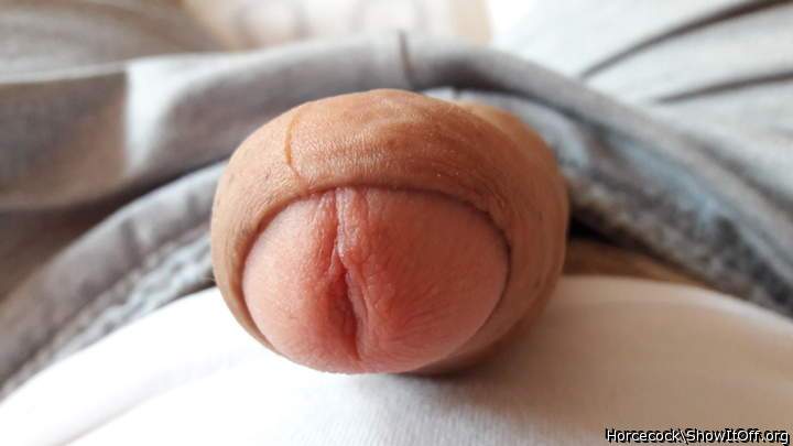 Adult image from Monster