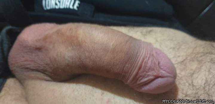 Adult image from MYCOCK66