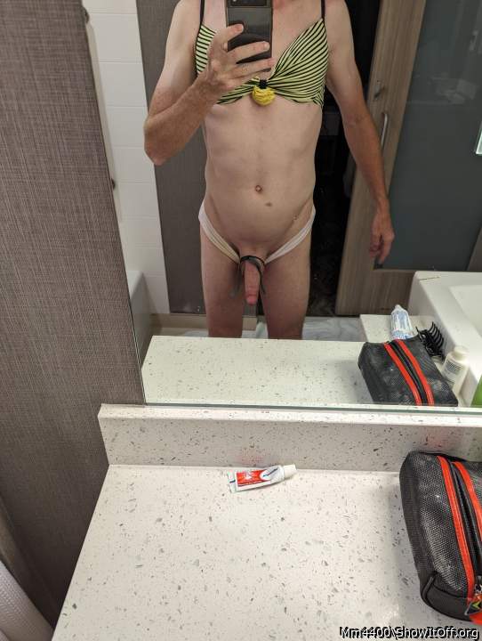 Adult image from Mm4400