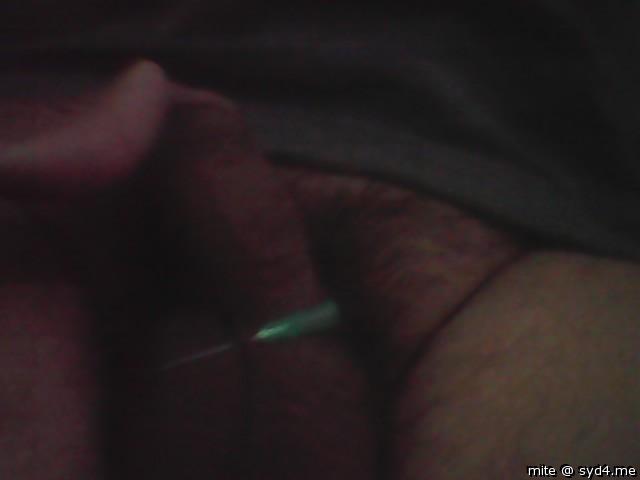 Adult image from mite