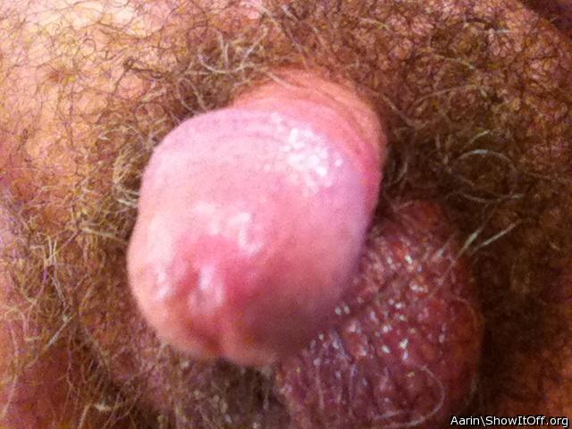 Adult image from Arinn
