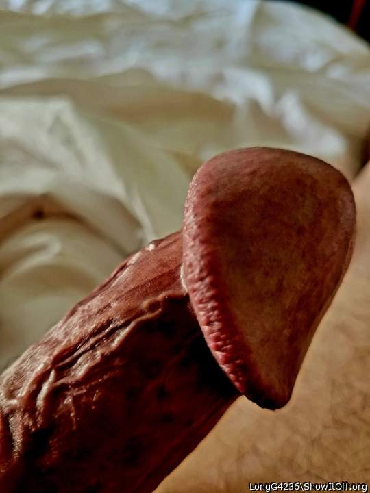 Adult image from LongG4236