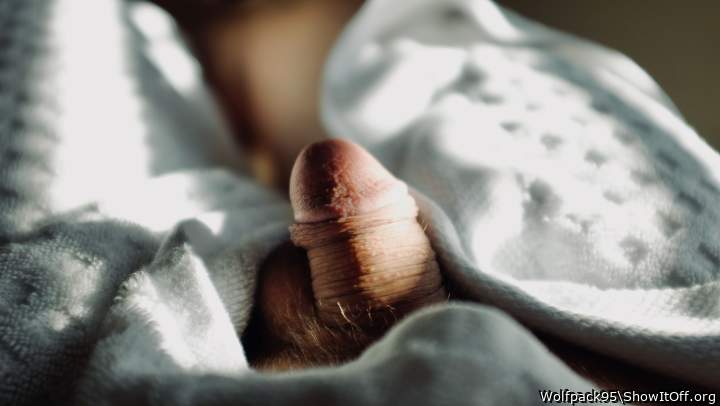 Adult image from Wolfpack95