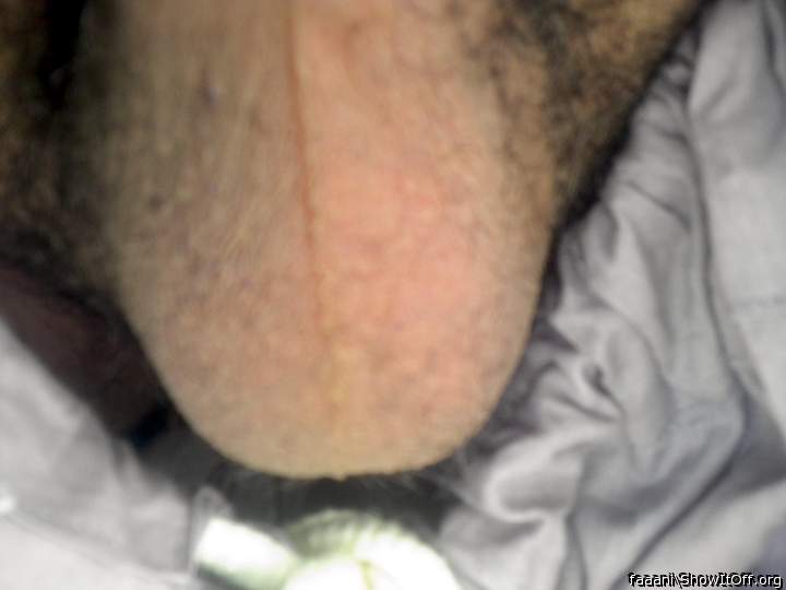 Adult image from faaani