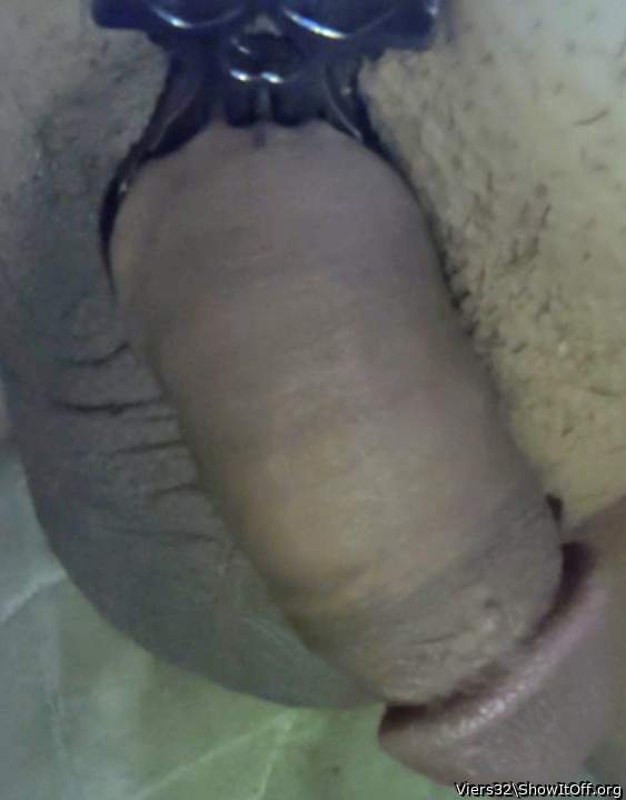 Adult image from Viers32