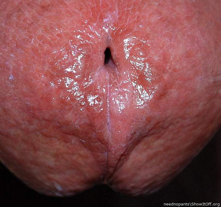 Adult image from neednopants