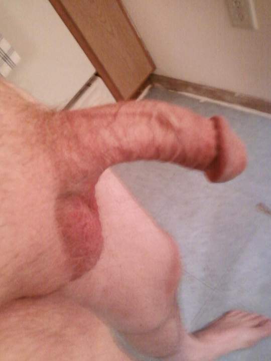 Shave it and show it.