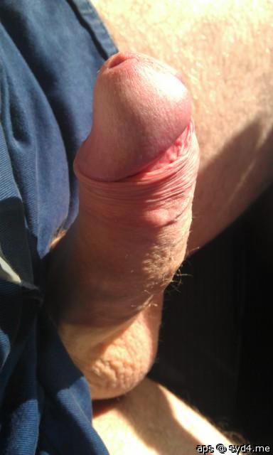 Adult image from Aps