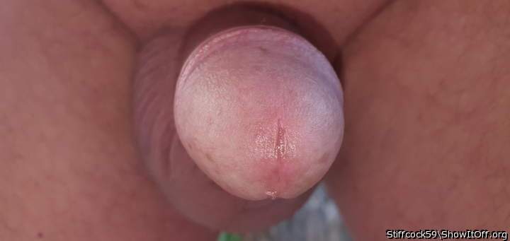 Adult image from Stiffcock59