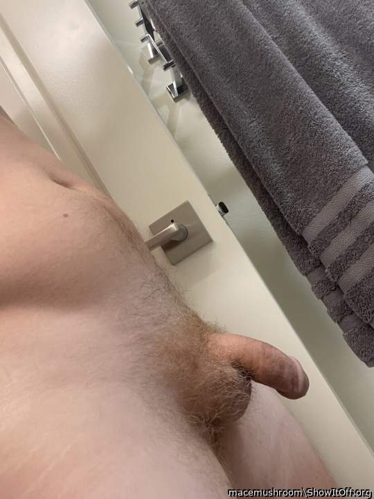 Adult image from macemushroom