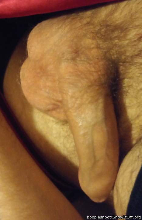 Adult image from booplesnoot