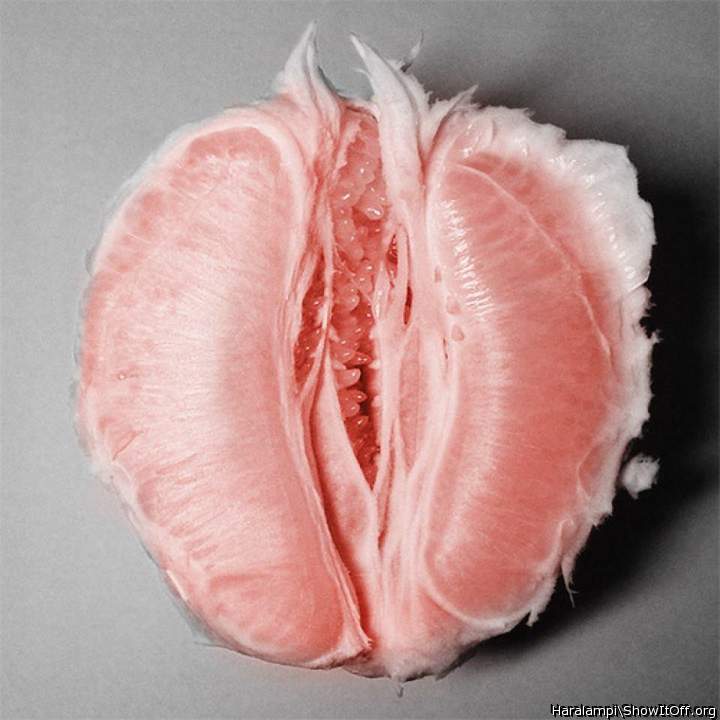 Adult image from Haralampi