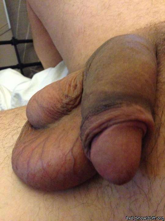 Adult image from 8x6