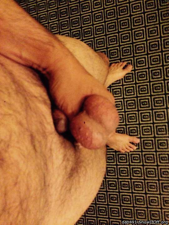 Adult image from Dab491