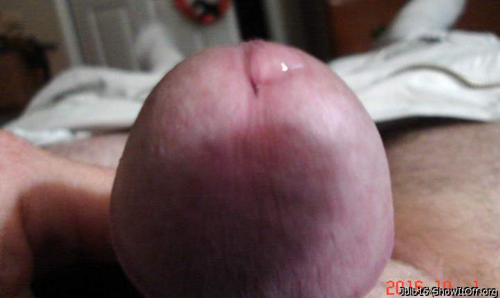 Adult image from Jblb16