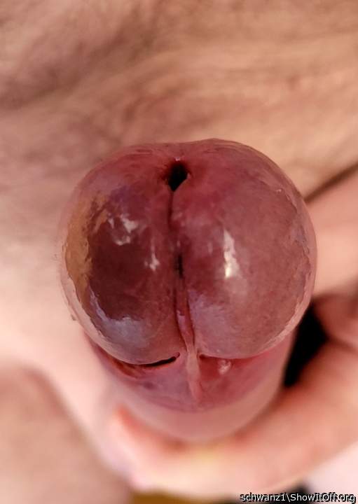 Adult image from schwanz1