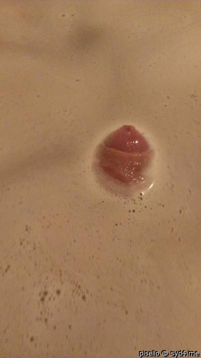 Adult image from pisello