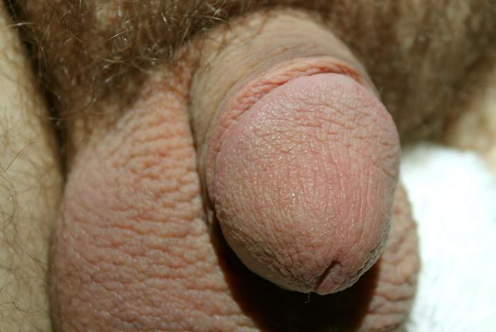 Adult image from lilsoftee