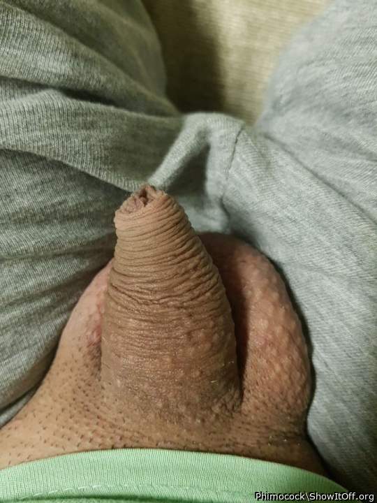 Adult image from Phimocock