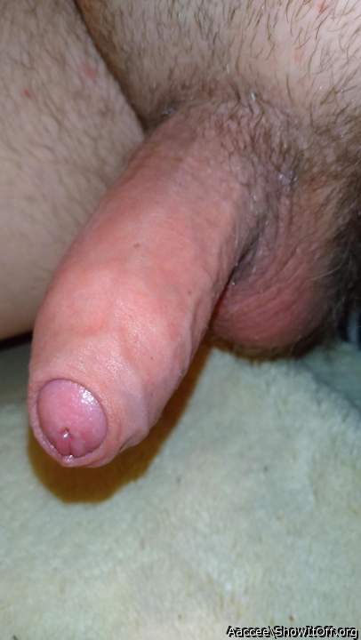 Adult image from Aaccee