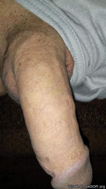 Adult image from SEH49