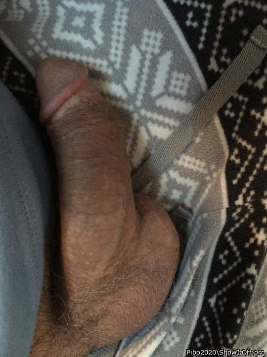 Adult image from Pibo2020
