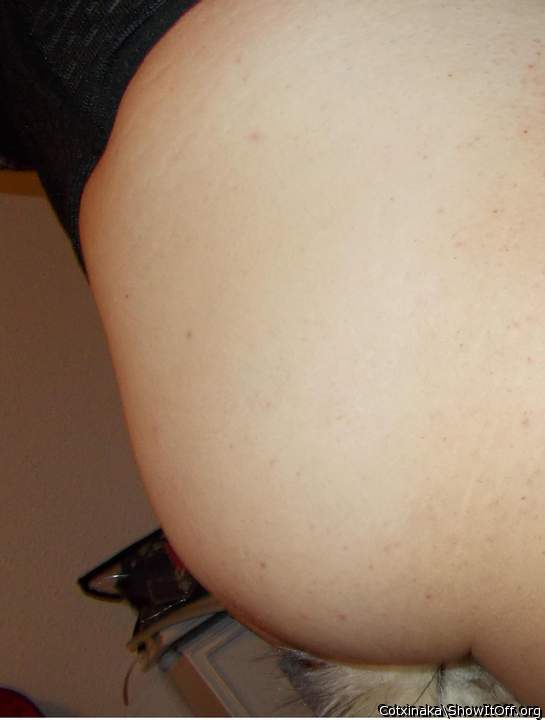 foxtail_03