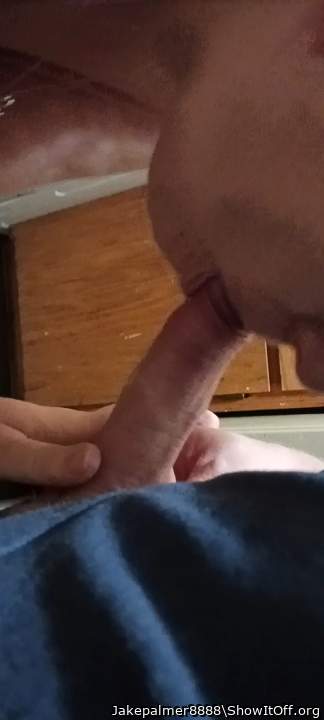 Adult image from Jakepalmer8888