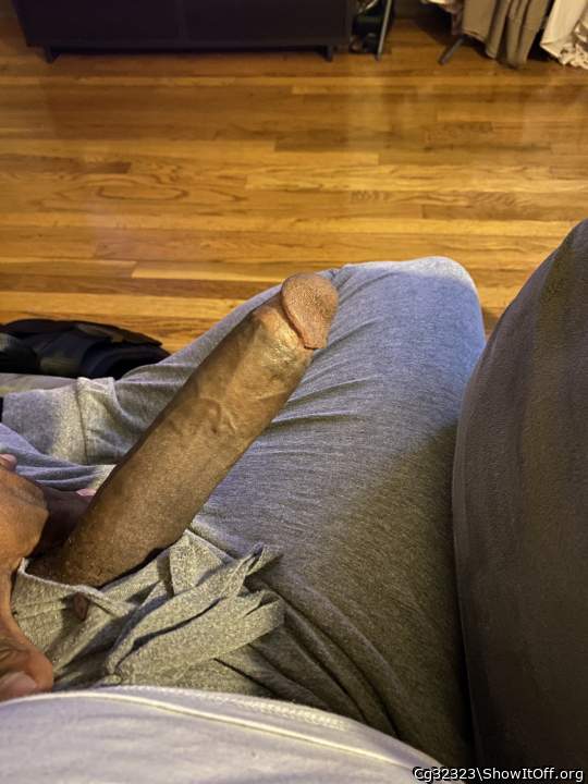 Adult image from Cg32323