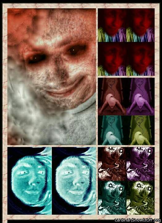 Adult image from cardinal