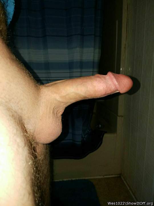 Adult image from Wes1022
